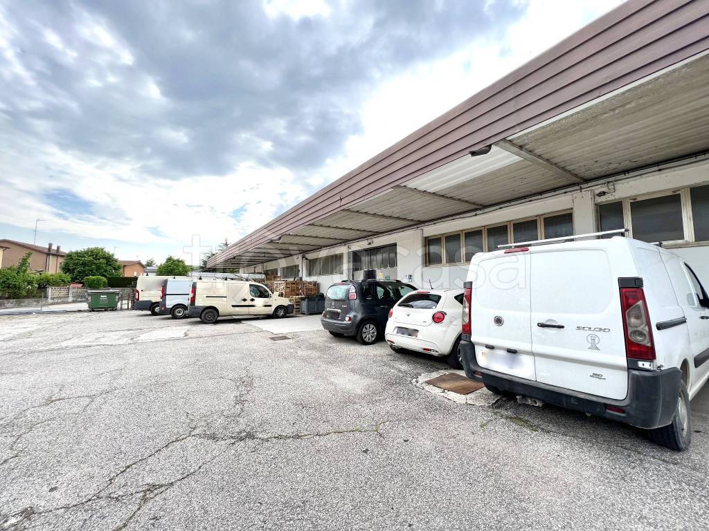 immagine annuncio 3 di 10