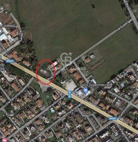 immagine annuncio 3 di 12