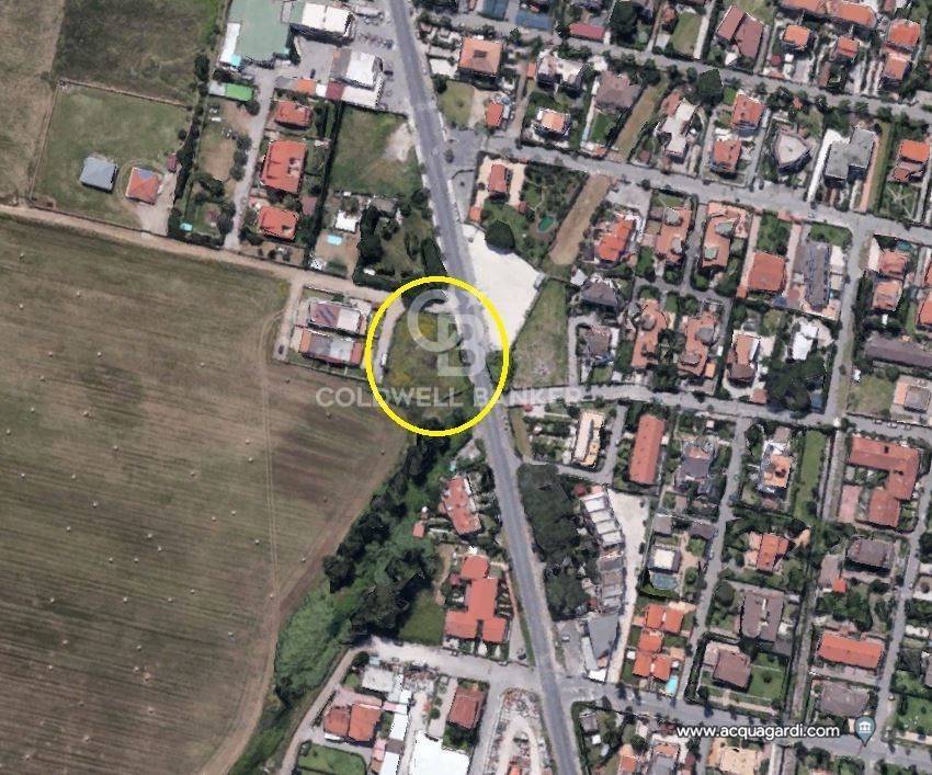 immagine annuncio 2 di 12