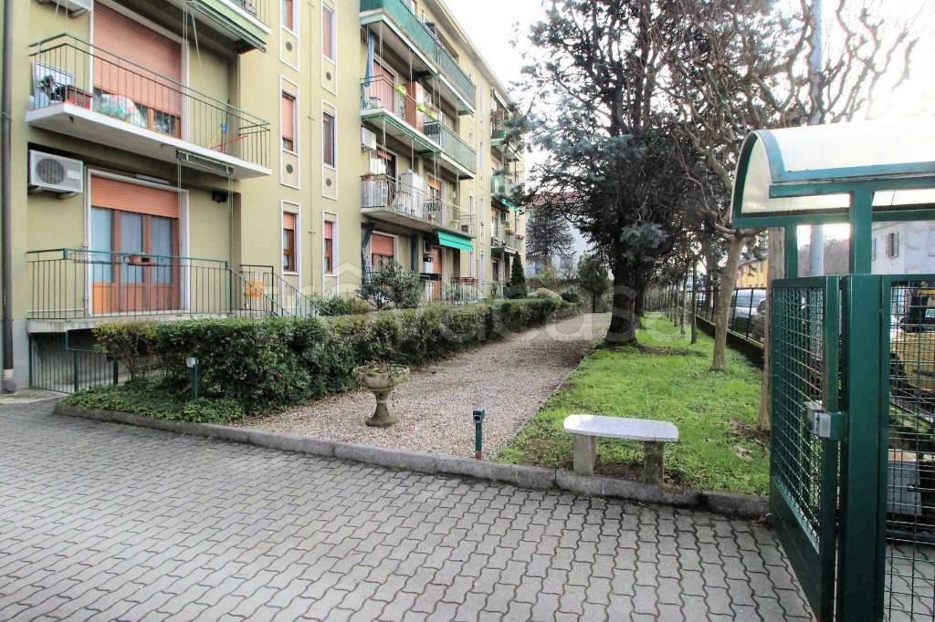 immagine annuncio 6 di 15