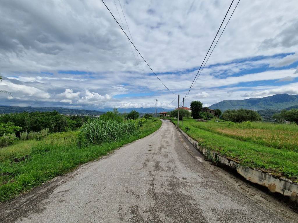 immagine annuncio 10 di 14
