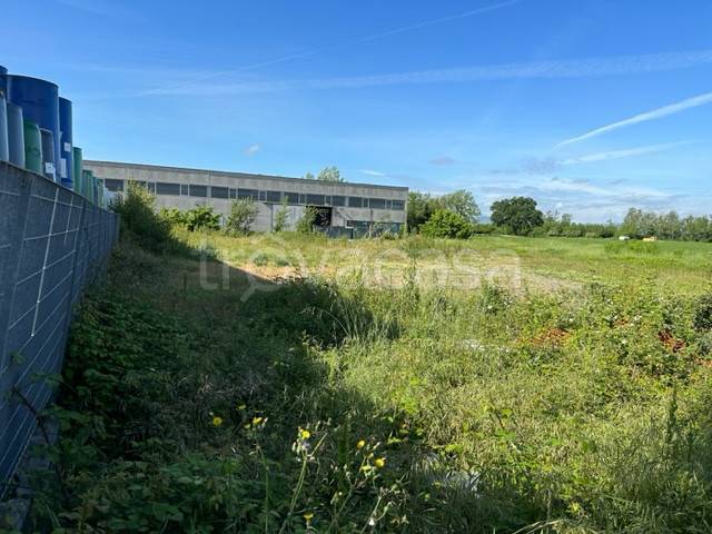 immagine annuncio 7 di 15