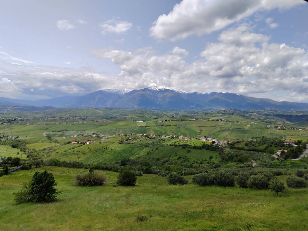immagine annuncio 10 di 13
