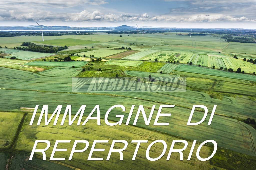 immagine annuncio 3 di 4