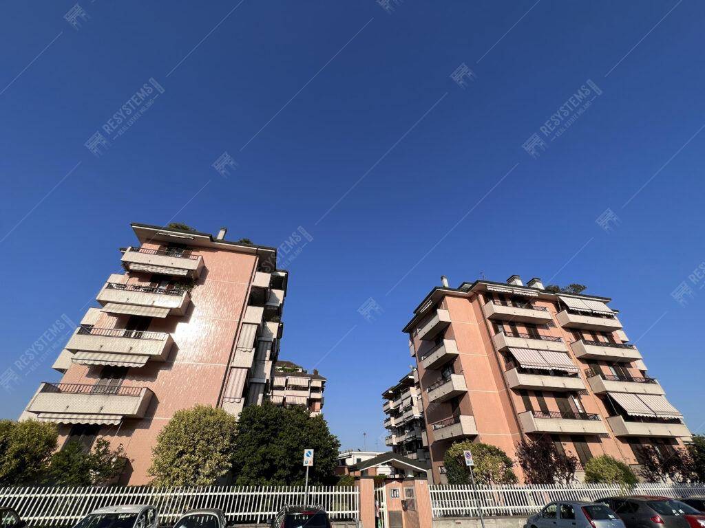 immagine annuncio 12 di 14