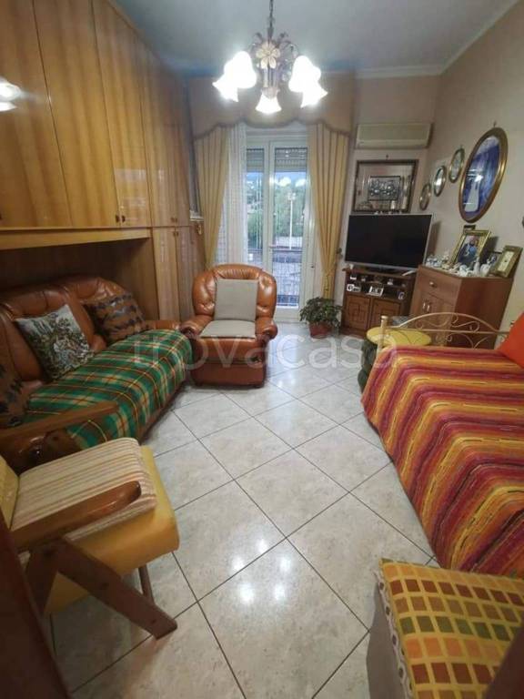 immagine annuncio 4 di 8