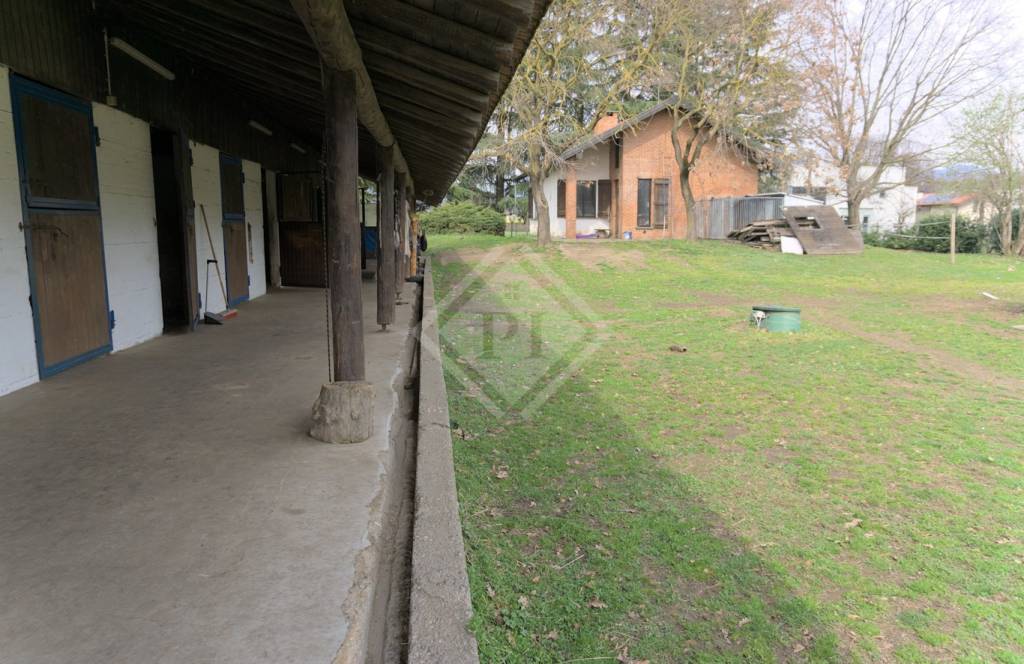 immagine annuncio 5 di 13