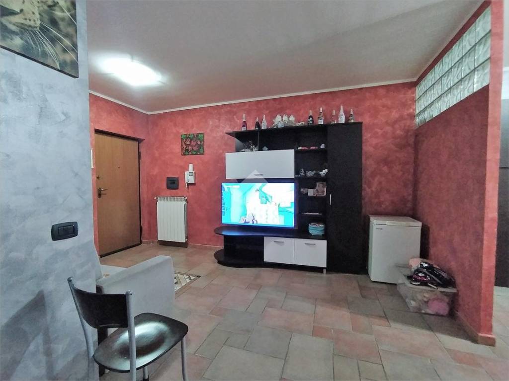 immagine annuncio 11 di 14