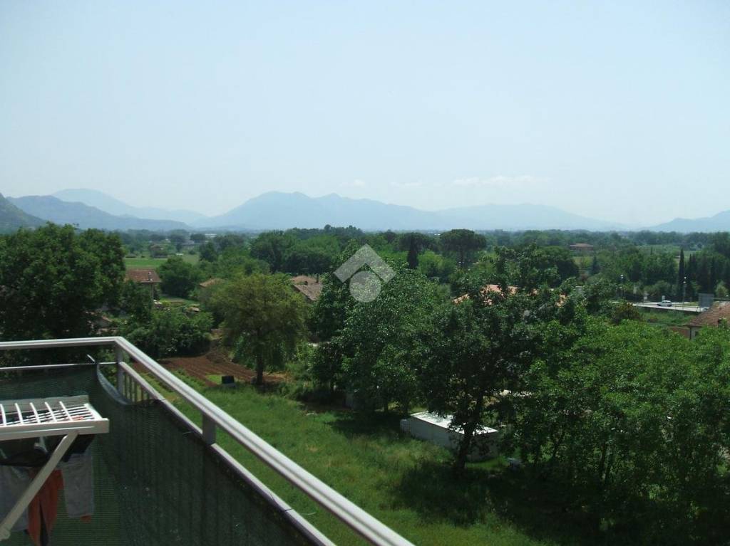 immagine annuncio 2 di 14