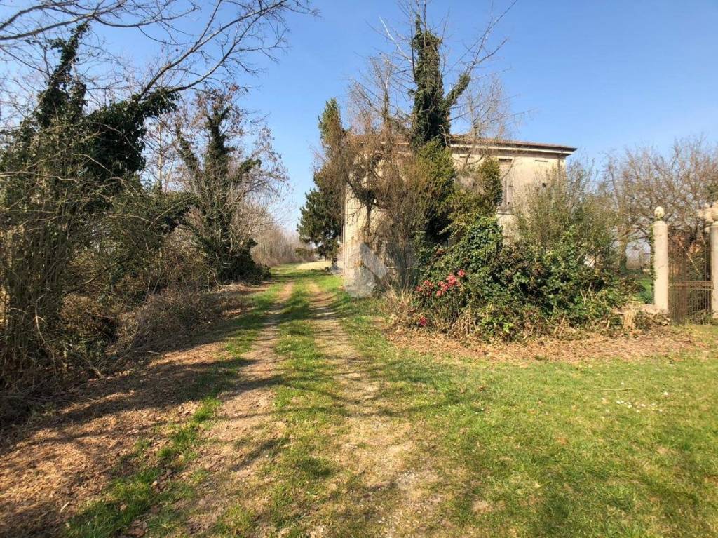 immagine annuncio 6 di 15