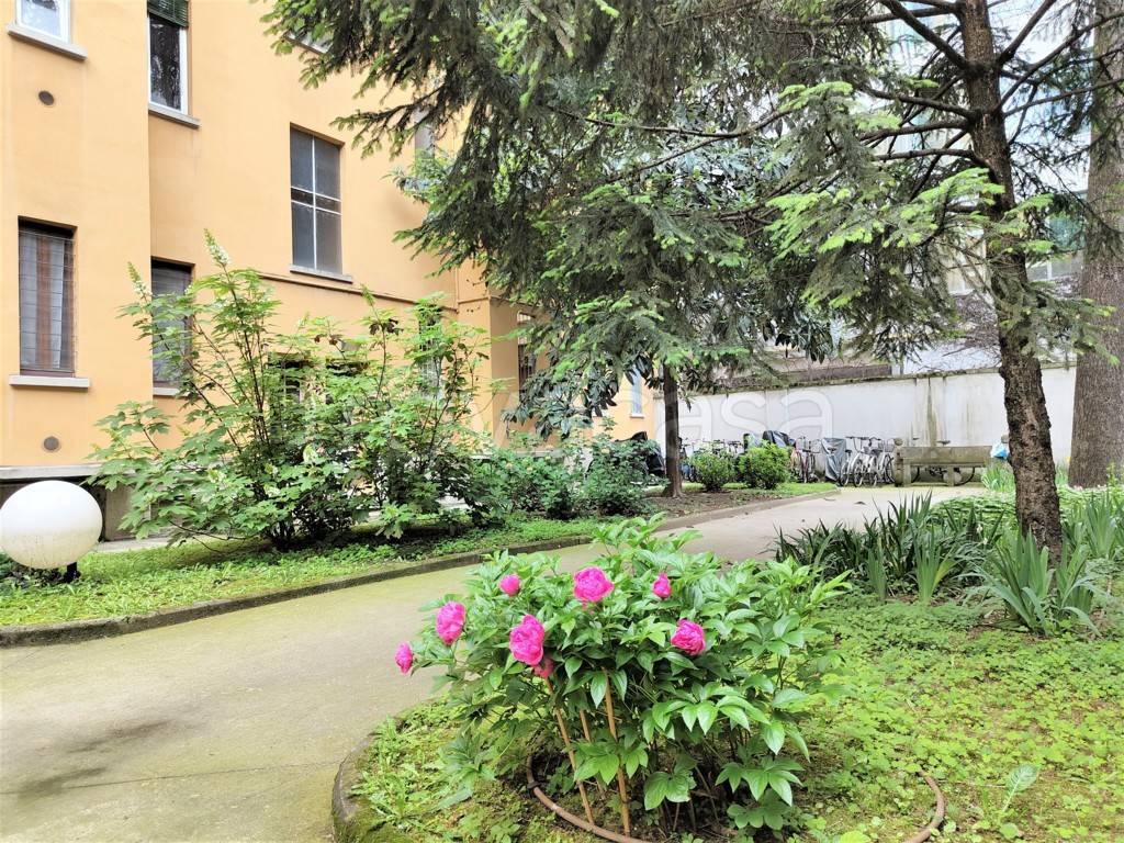 immagine annuncio 6 di 11