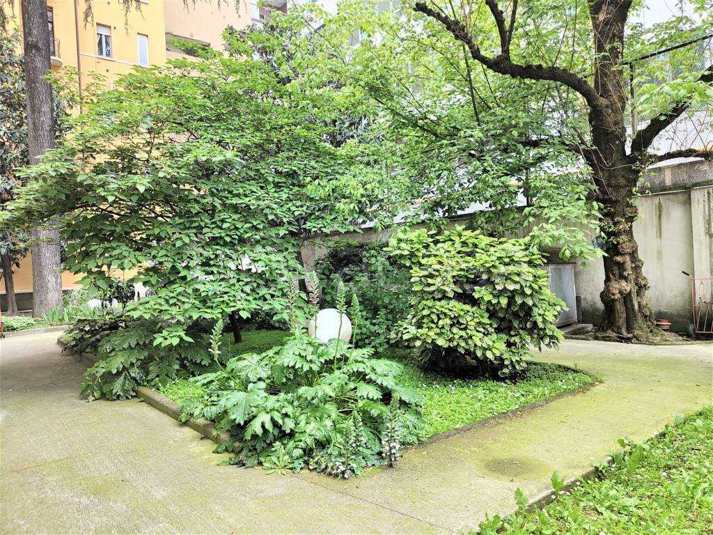 immagine annuncio 7 di 11