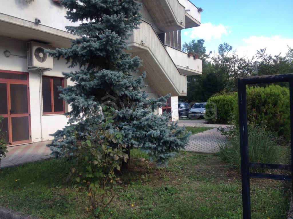 Appartamento in vendita a Scafa via Castellari, 13