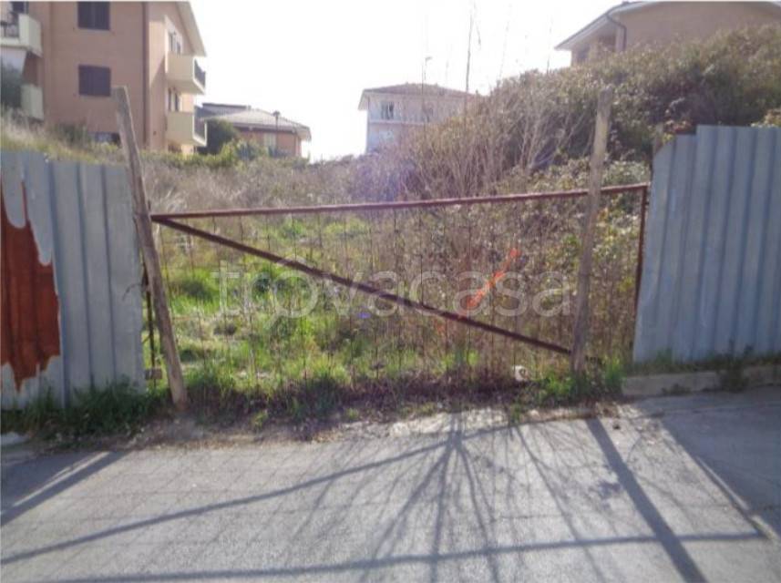 immagine annuncio 12 di 14