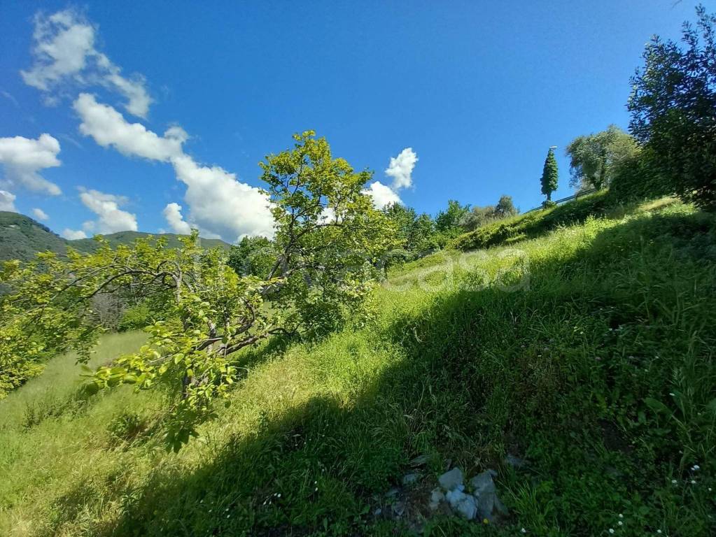 immagine annuncio 6 di 11