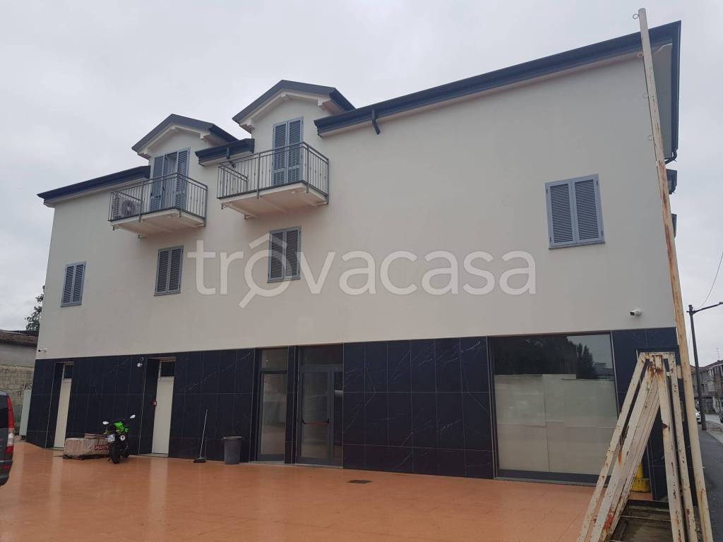 immagine annuncio 1 di 12