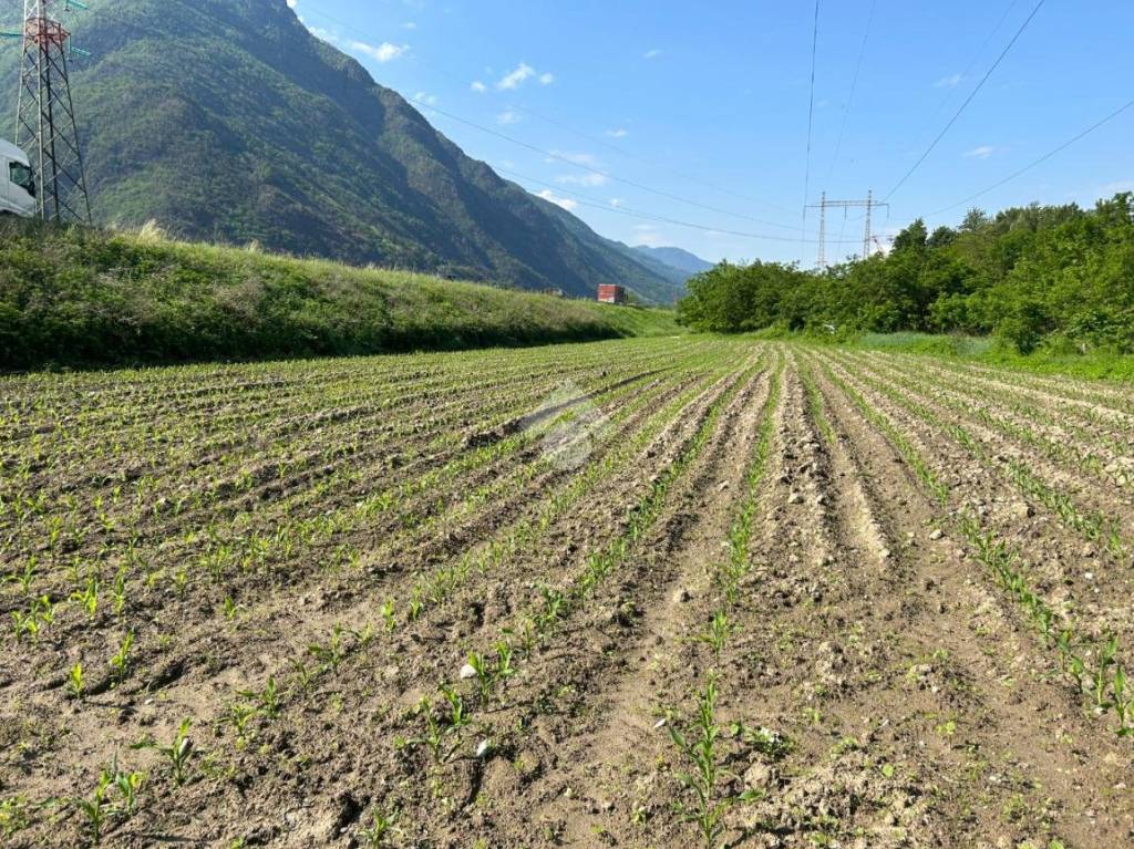 Terreno Agricolo in vendita a Esine via San Martino