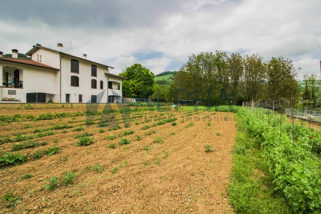 immagine annuncio 9 di 11