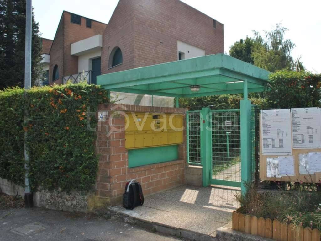 immagine annuncio 3 di 12