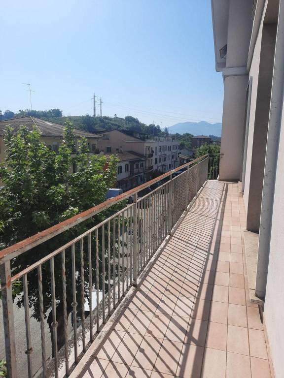 immagine annuncio 11 di 14