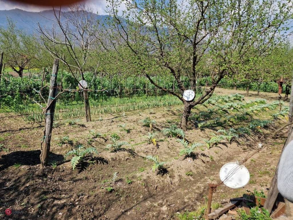 Terreno Agricolo in vendita a San Gennaro Vesuviano via Novesche