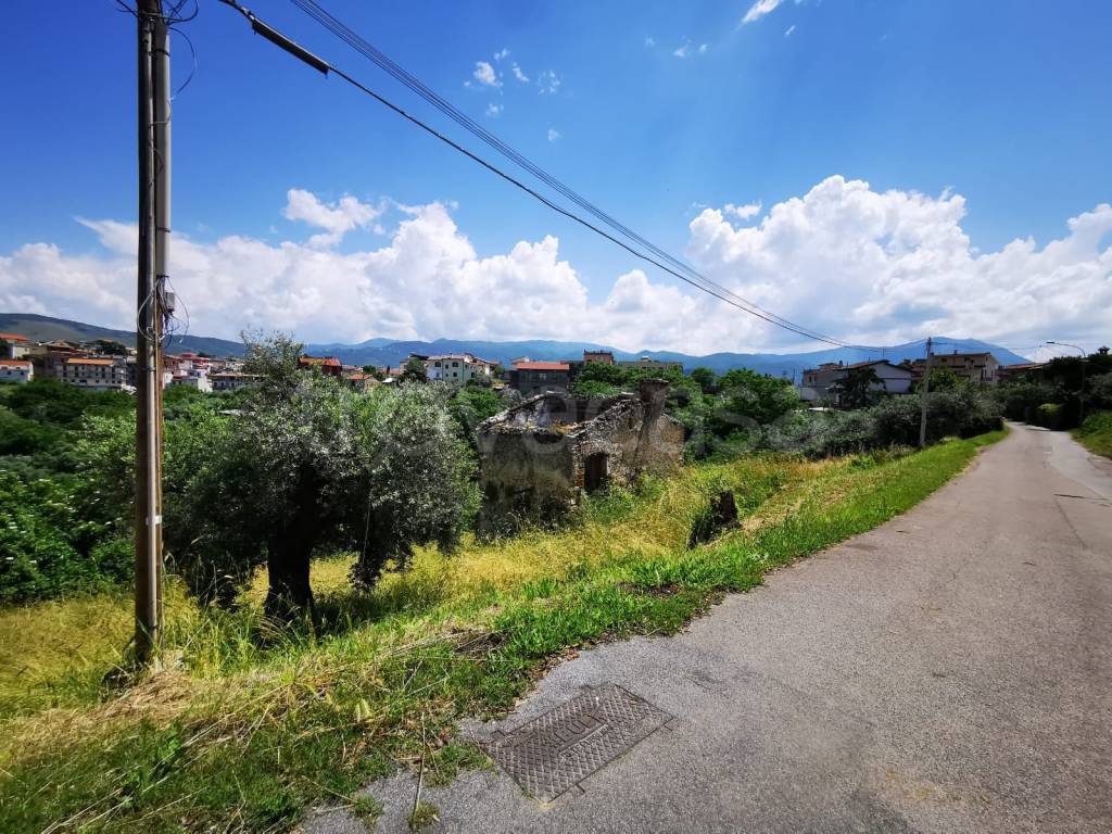 immagine annuncio 2 di 6