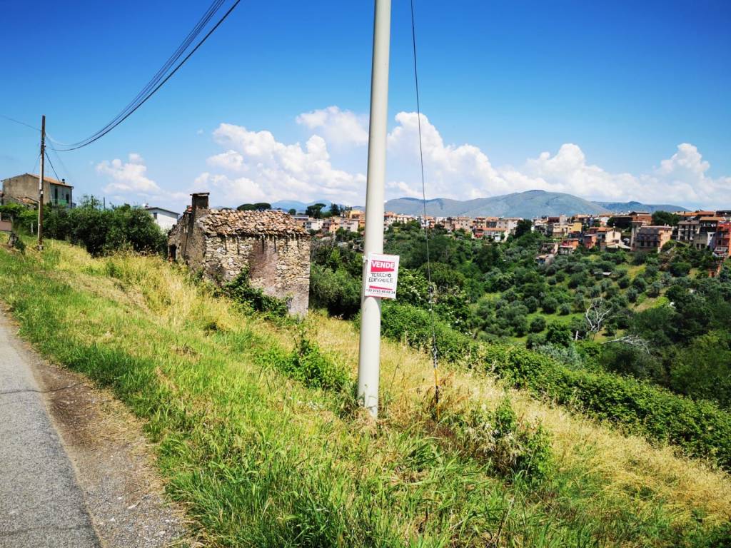immagine annuncio 4 di 6