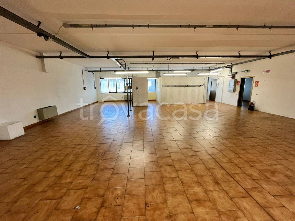 immagine annuncio 4 di 14