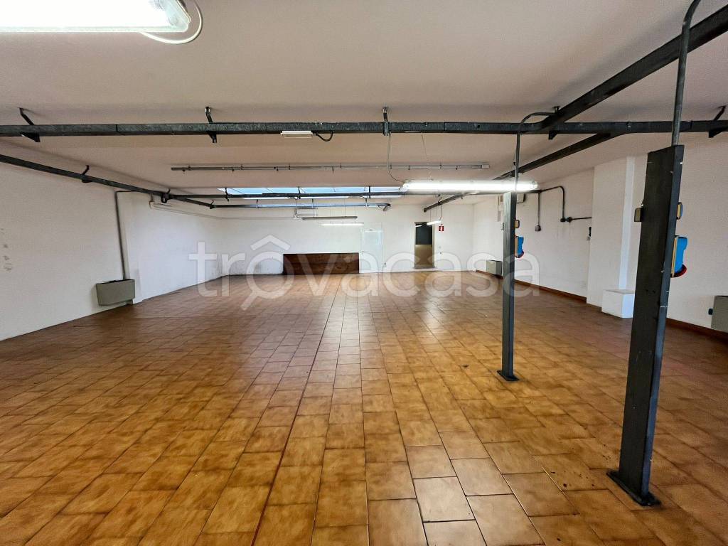 immagine annuncio 5 di 14