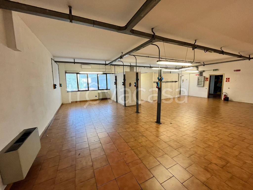 immagine annuncio 6 di 14