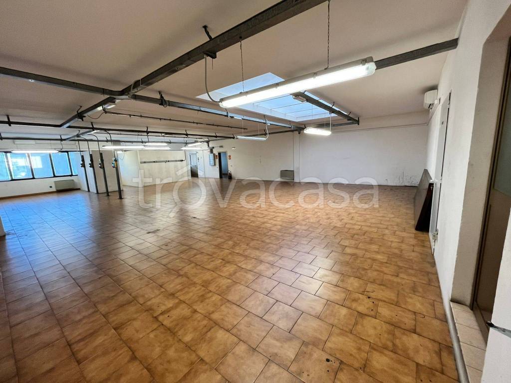 immagine annuncio 8 di 14