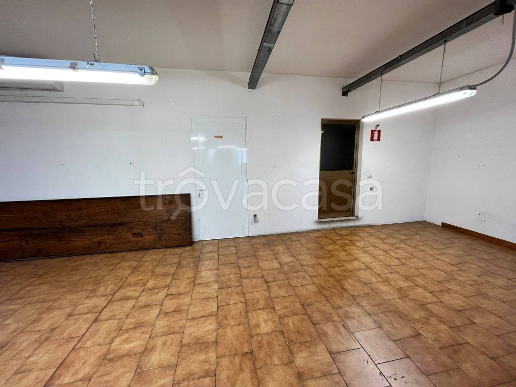 immagine annuncio 12 di 14