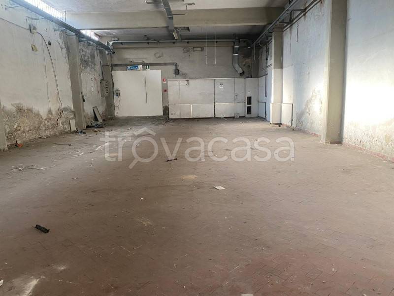 immagine annuncio 12 di 13