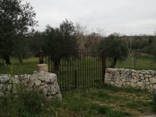 Terreno agricolo in vendita a cassaro 