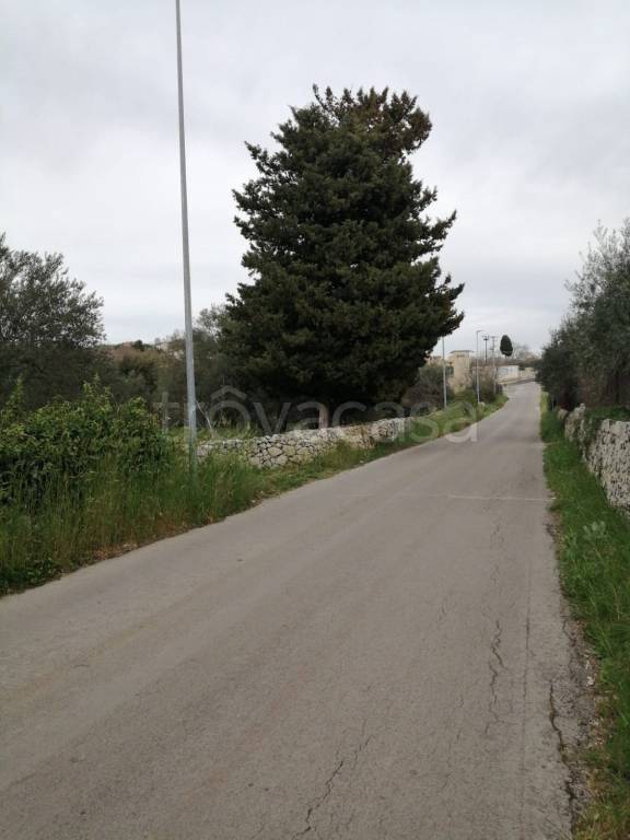 immagine annuncio 1 di 8