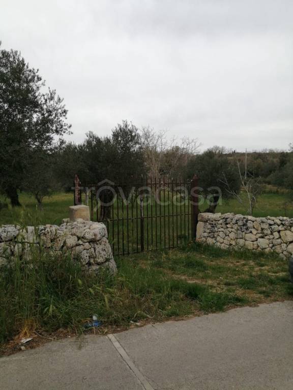 immagine annuncio 5 di 8