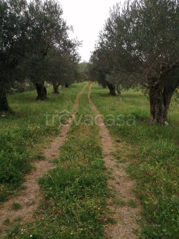 immagine annuncio 7 di 8