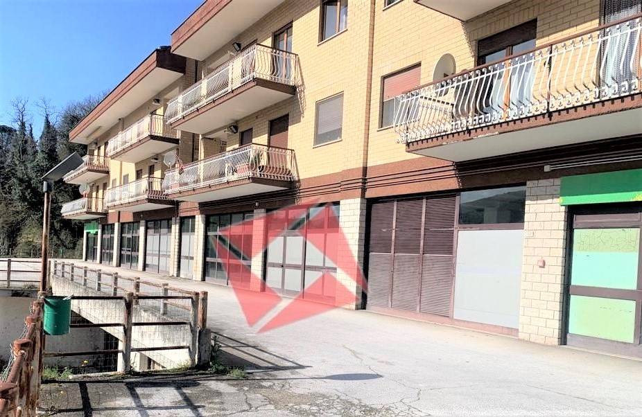 immagine annuncio 2 di 12