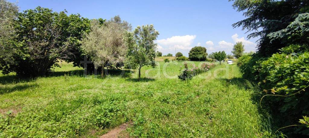 immagine annuncio 9 di 14