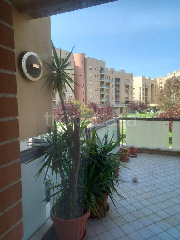 Appartamento in in affitto da privato a Pescara via Cetteo Ciglia, 56