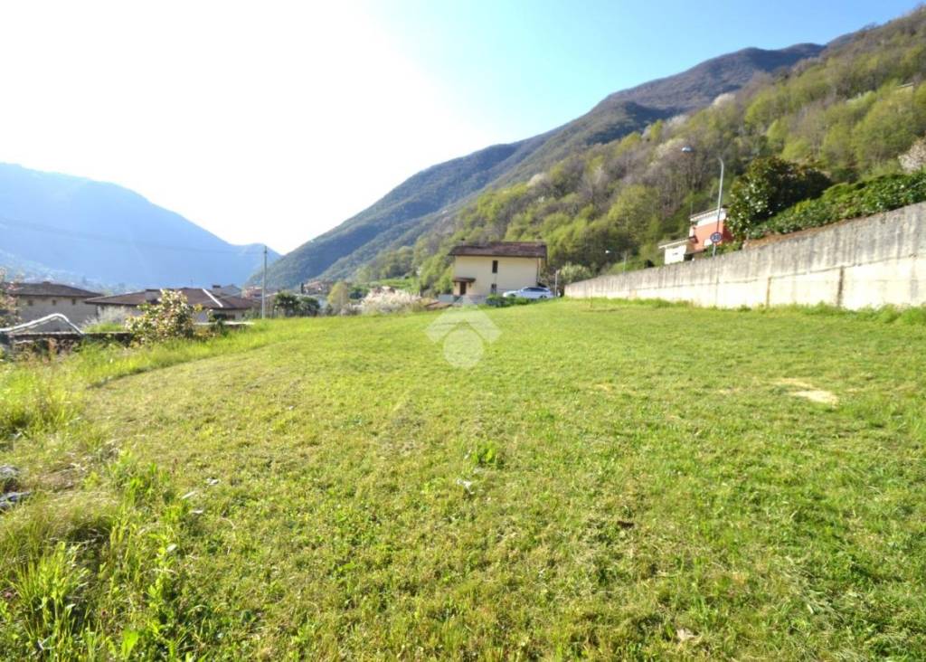 immagine annuncio 1 di 4