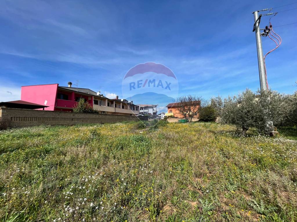 immagine annuncio 3 di 6