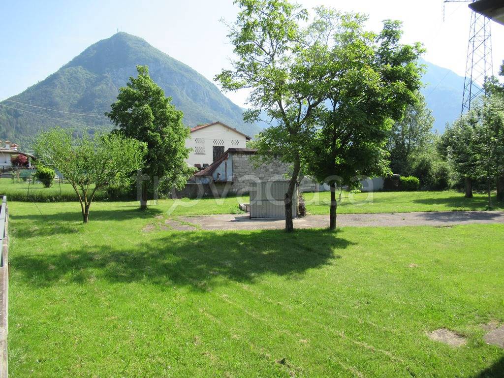 immagine annuncio 5 di 8