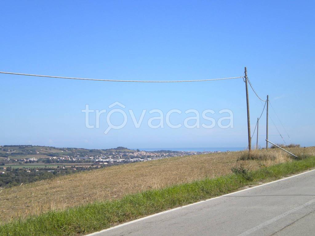 immagine annuncio 12 di 13