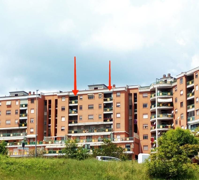 Appartamento in in vendita da privato a Campobasso via Campania, 197