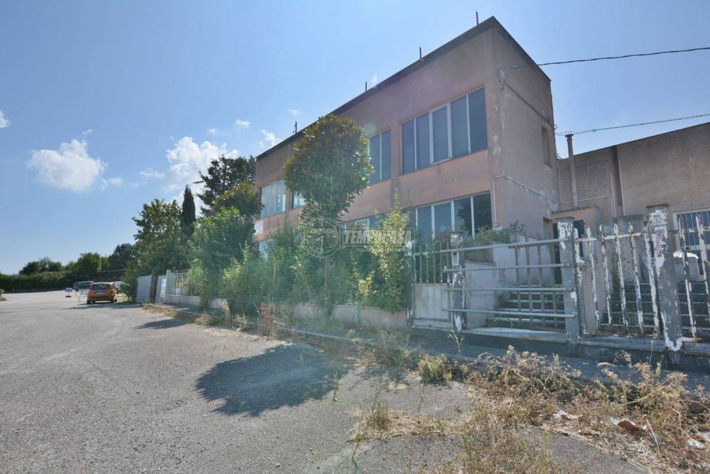 immagine annuncio 3 di 13