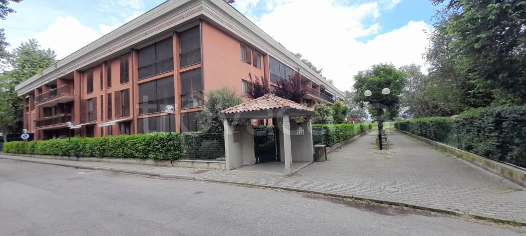 immagine annuncio 1 di 15