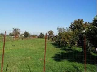 Terreno agricolo in affitto ad acerra via alcide de gasperi