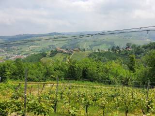 Terreno agricolo in vendita a diano d'alba via pittatori