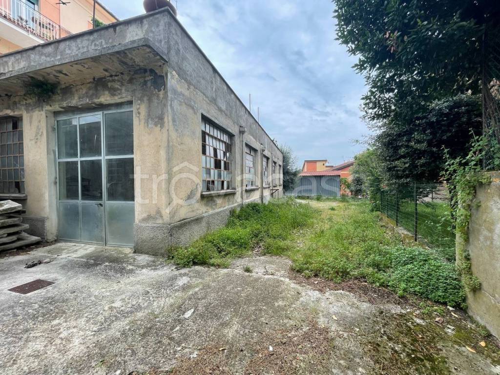 immagine annuncio 1 di 2